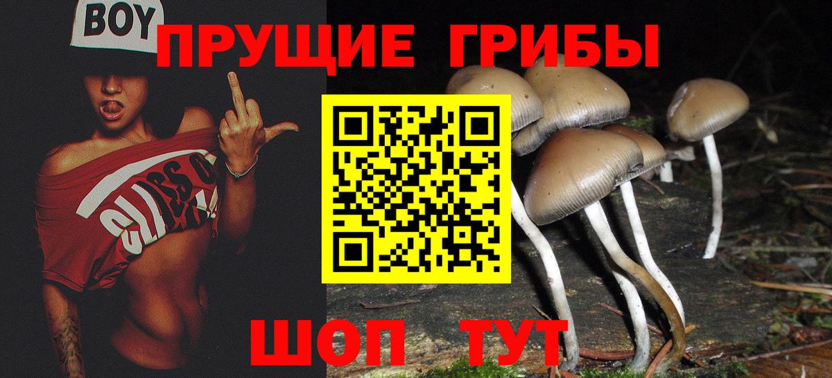 Псилоцибиновые грибы мухоморы Реутов
