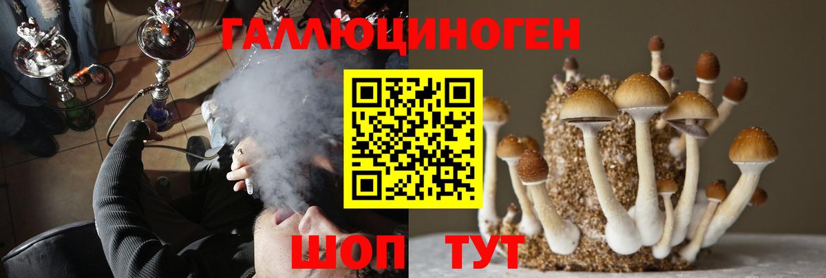 Реутов  Псилоцибиновые грибы ЛСД  Вход с VPN 